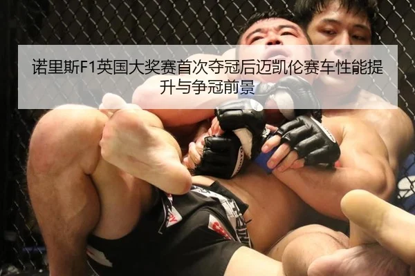 诺里斯F1英国大奖赛首次夺冠后迈凯伦赛车性能提升与争冠前景